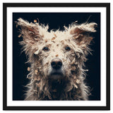 Old Dog 06 thumbnail