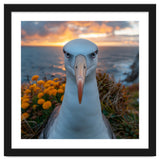 Albatross Bird With Intense Gaze By The Sea thumbnail
