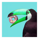 Sweet Toucan (Print Only) thumbnail