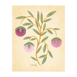 Vintage Fruits (Print Only) thumbnail