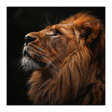 Majestic Lion Portrait Profile Majestic Beast (Print Only) thumbnail