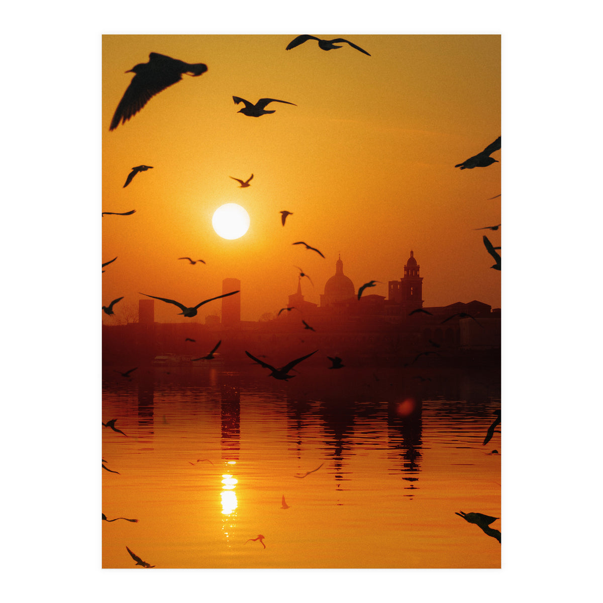 Charming Birds (Print Only)