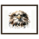 Fierce Bald Eagle Portrait thumbnail