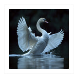 Majestic White Swan Spreading Wings On Water (Print Only) thumbnail