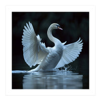 Majestic White Swan Spreading Wings On Water (Print Only)