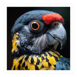 Close-up Portrait of a Vibrant Parrot (Print Only) thumbnail