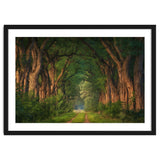 Soft morning light thumbnail