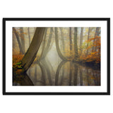 Bent trees in autumn thumbnail