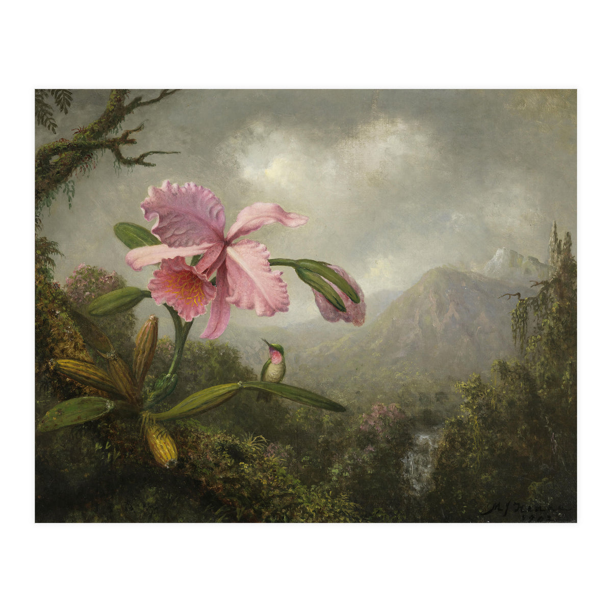 Martin Johnson Heade (Lumberville, 1819-St. Augustine, 1904). Orchid and Hummingbird near a Water... (Print Only)