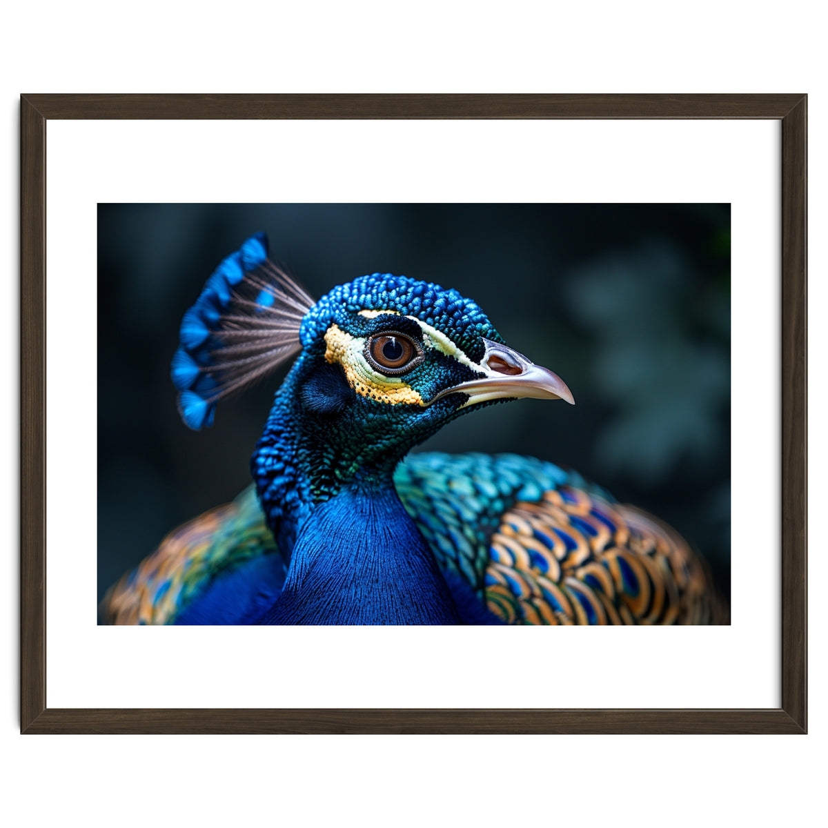 Peacock Head Close Up Majestic Blue Bird