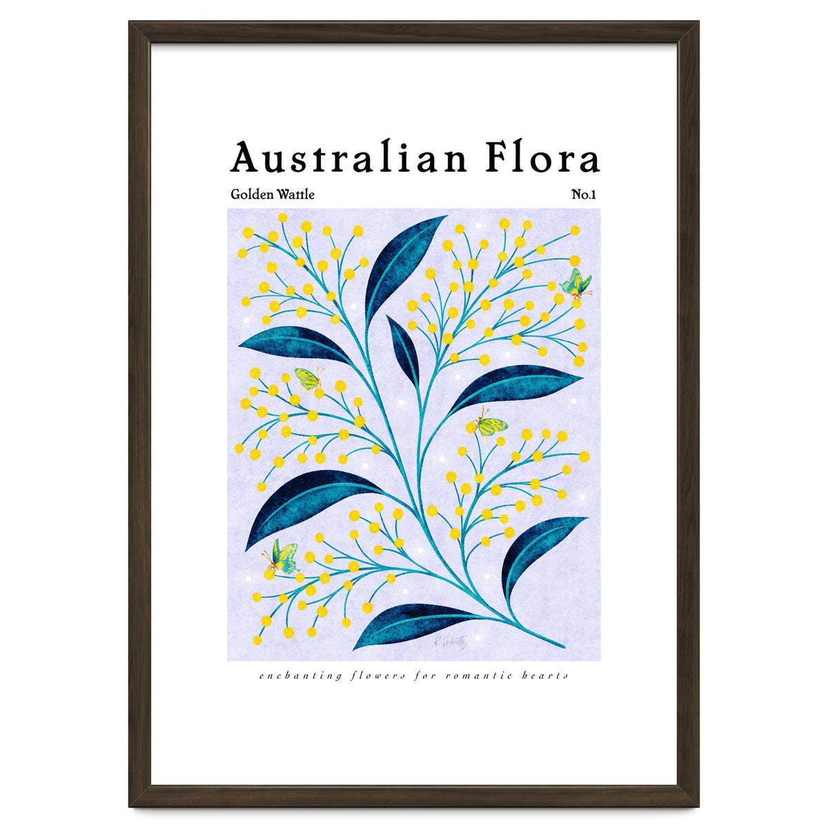 Australian Flora: Golden Wattle