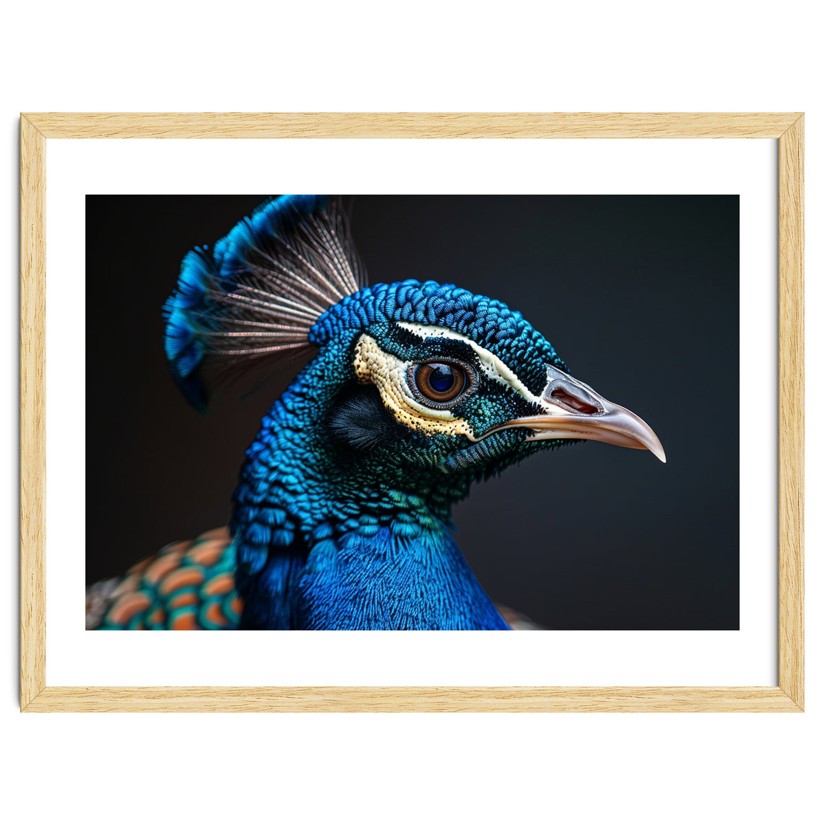 Close Up Peacock Head Blue Green Feather