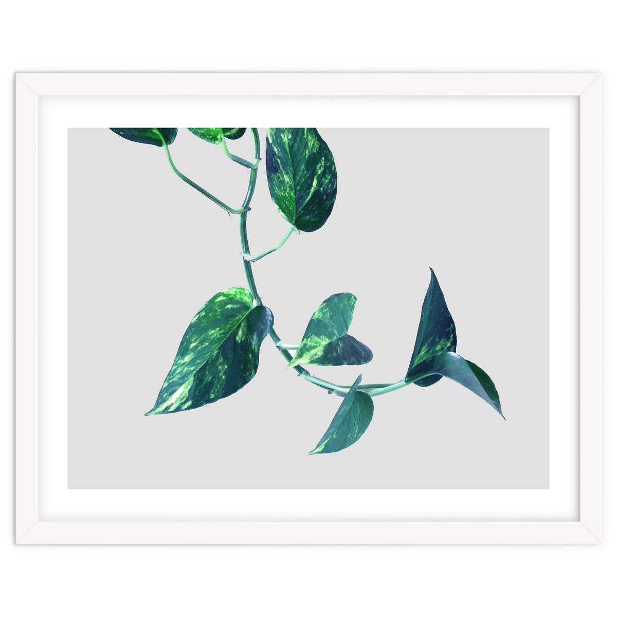 Projection & Emotion