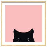 Black cat thumbnail