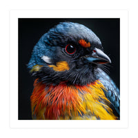 Close Up Of A Colorful Bird In The Wild (Print Only)