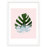 Monstera thumbnail