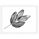 Branches and Leaves, 2016, 1 thumbnail