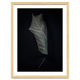 Leaves No 3 Color Version thumbnail
