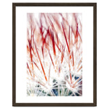 Delicate Florals thumbnail