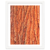 Tree Bark thumbnail