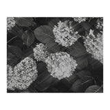 Hydrangeas | Black & White Landscape (Print Only) thumbnail