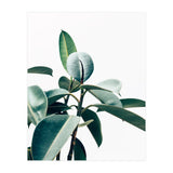 L'amour de ma vie #society6 #decor #buyart (Print Only) thumbnail