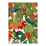 Tropical Parrots In Flower Jungle  (Print Only) thumbnail