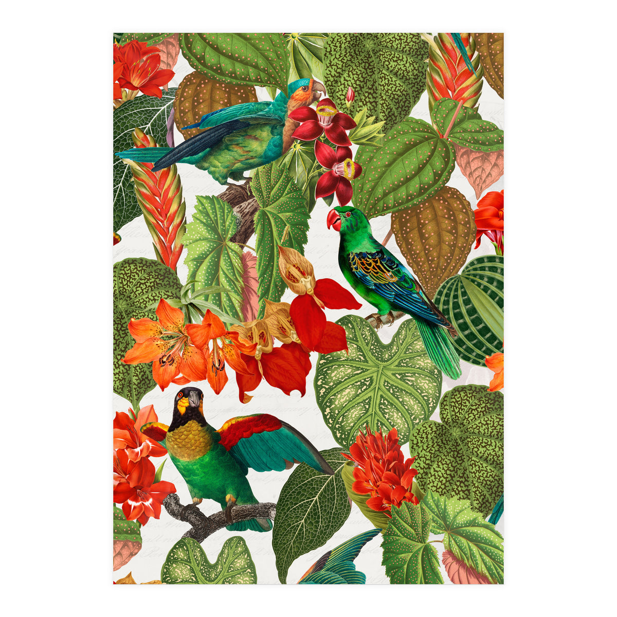 Tropical Parrots In Flower Jungle  (Print Only)