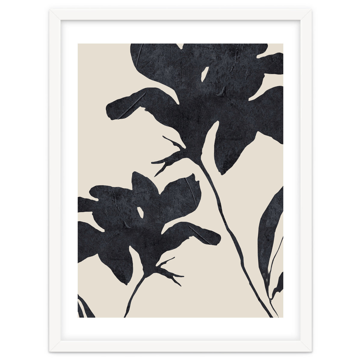 Shadowed Blooms