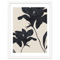 Shadowed Blooms