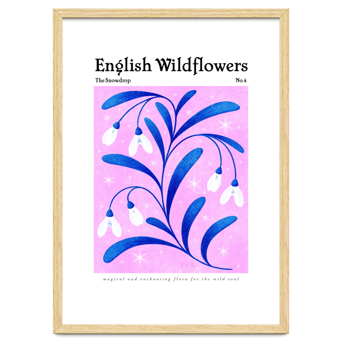 English Wildflowers | Snowdrops