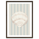 Sea shell thumbnail