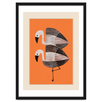 Tangerine Flamingos