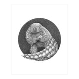 Pangolin no. 1 (Print Only) thumbnail