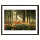 The poppy forest thumbnail