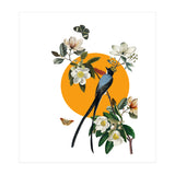 collage floral birds (Print Only) thumbnail