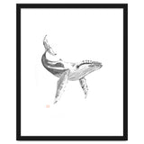 Whale thumbnail