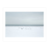 Seagulls in the Snow beach (Print Only) thumbnail