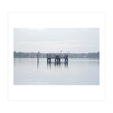Birds rest in the Lake (Print Only) thumbnail