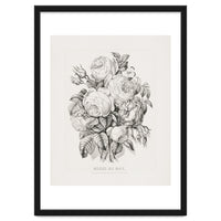 Currier & Ives – Rose of May (1870)