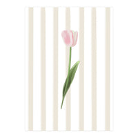 Single Tulip (Print Only)