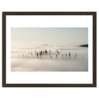 Misty Peaks: Pine Forest Above the Clouds