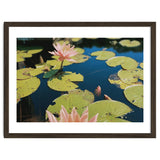 Lotus Pond | Landscape thumbnail
