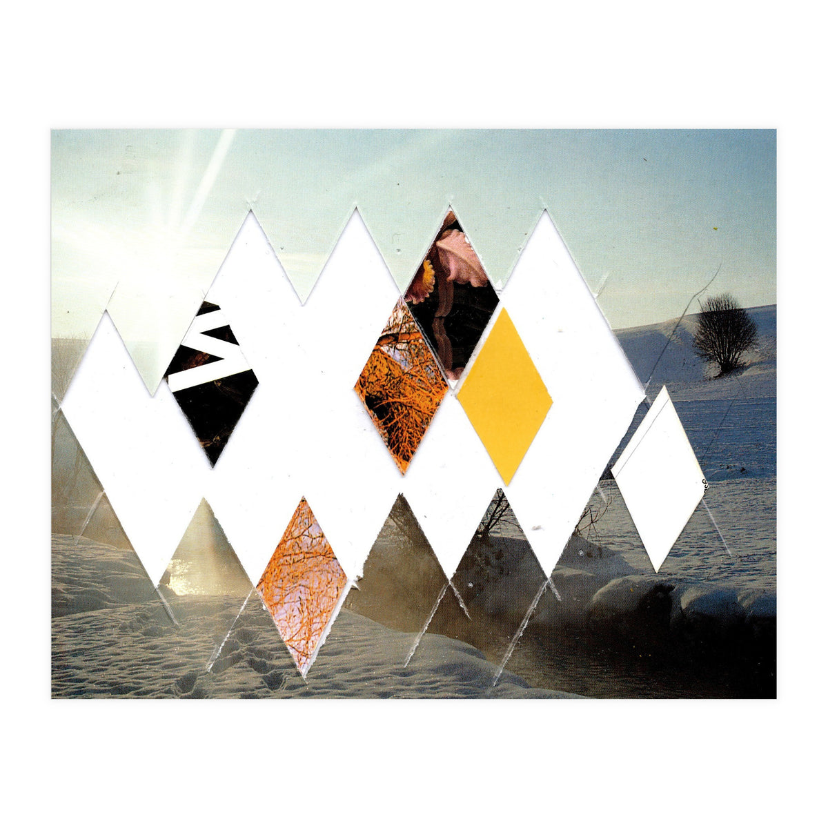 Fragmented · Botschaft Der Pappen??? · Winterimpressionlooklike (Print Only)