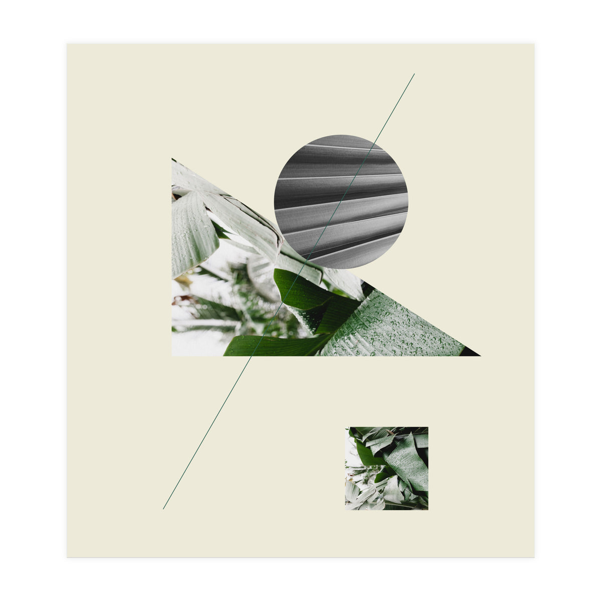 Tropical Geometry No 2 (Print Only)