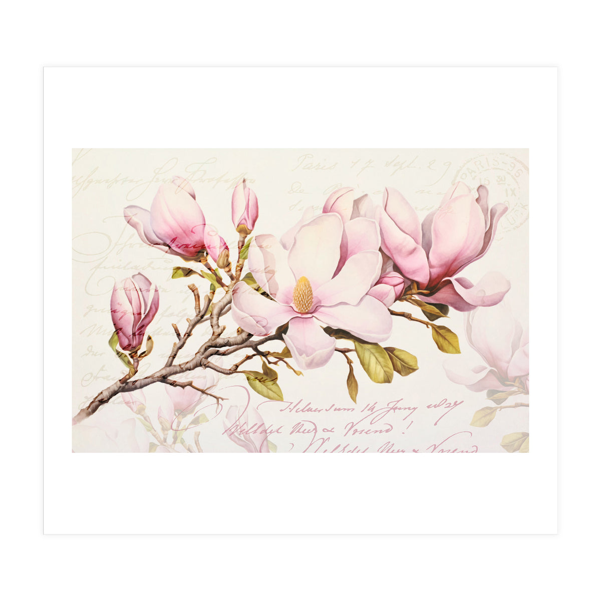 Magnolia Spring Romance Pink (Print Only)