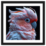 Pink Cockatoo Parrot Close Up Portrait Feather thumbnail