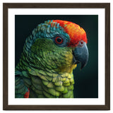 Close Up Colorful Parrot Bird Feather thumbnail