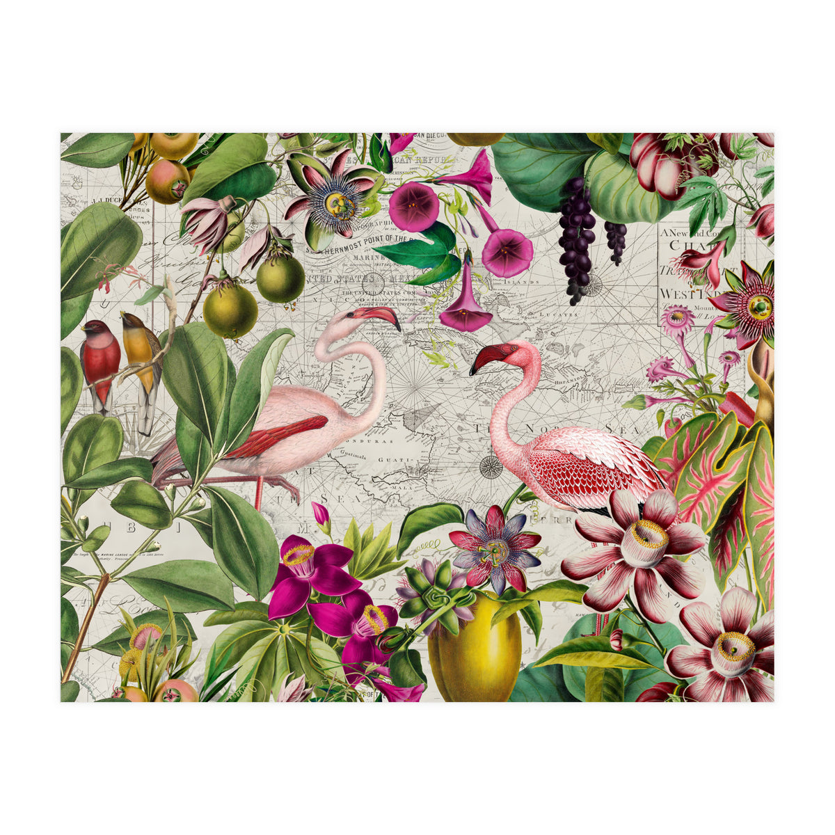 Flamingo Island 2 (Print Only)