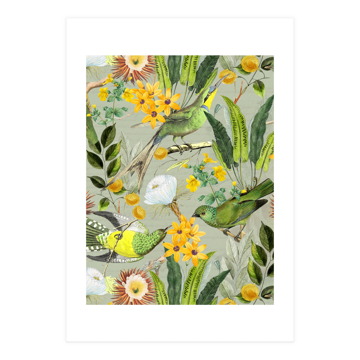Tropical Birds in Exotic Jungle (Print Only)
